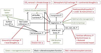 Negative erosion and negative emissions: Combining multiple land-based carbon dioxide removal techniques to rebuild fertile topsoils and enhance food production